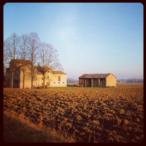 sunset square tramonto country campagna squareformat hudson fidenza fornio iphoneography instagramapp uploaded:by=instagram foursquare:venue=521a78322fc631f8012044b7