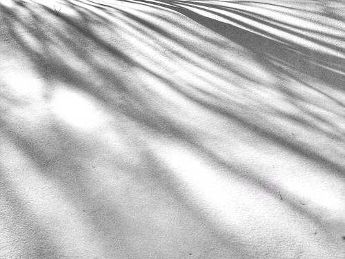 cameraphone shadow snow home apple yard shadows snowy views 365 500views 500 iphone project365 iphone5 iphone365 iphoneography snapseed