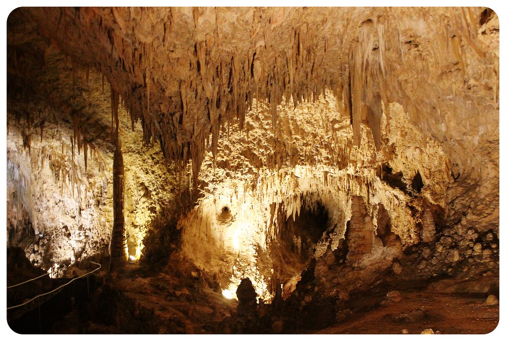 carlsbad caverns new mexico