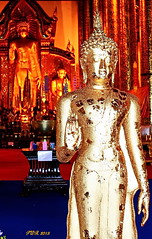 Wat Chedi Luang, Chiang Mai,