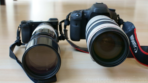 Sony A6000/Nikon 300mm f/4.5 H vs Canon 7D/100-400L