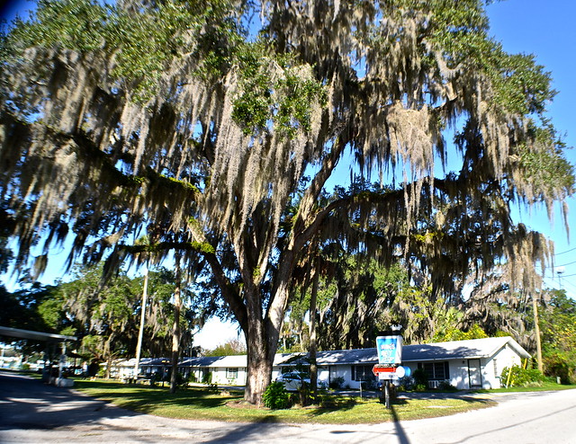 Kings Bay Lodge In Crystal River, Florida
