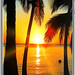#Bright #Sunset on #Exotic #Beach #iPhone 5/5s #Cases - on #TheKase