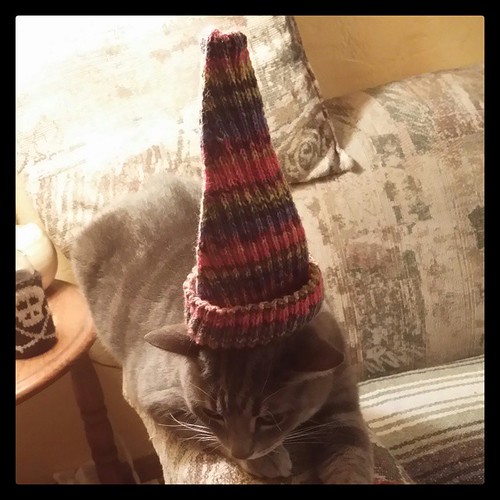 I can't imagine why she wouldn't hold still for a better photo. #knitting #catsofinstagram #stuffonmycat