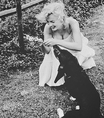 Marilyn and dogfriend. ❤️