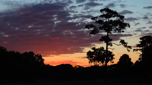 morning wallpaper pine sunrise palms flickr florida golfcourse bradenton imgacademy mullhaupt jimmullhaupt