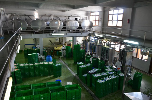 Tanga Fresh milk processing factory