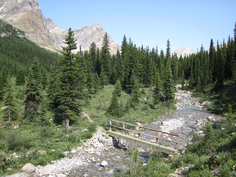 Skinny but strong footbridge in Johnston Canyon over the creek coming down from Badger Pass