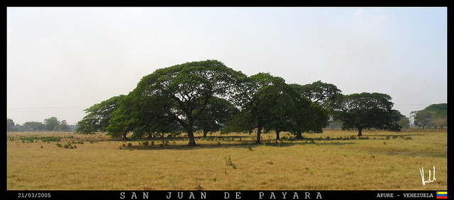 San Juan De Payara