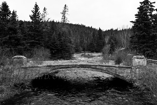 road old trees bw white canada black water creek forest newfoundland river landscape concrete grey mono stream arch gray cement scenic bridges
