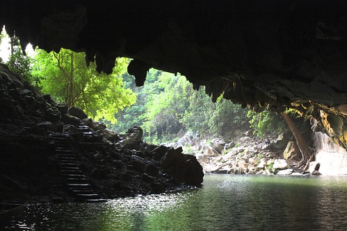 mouth of the cave