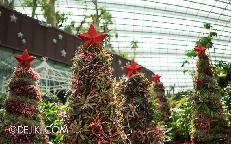 Gardens by the Bay - Flower Dome - Christmas Sugar Mountain