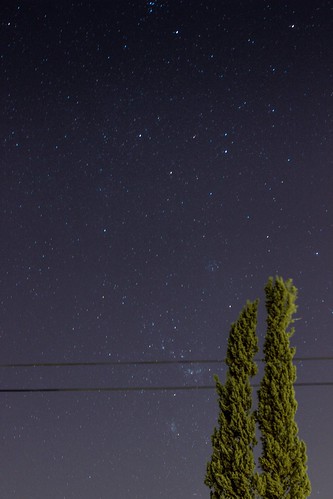 trees sky night lens stars landscape photography 50mm lights photo shot capture