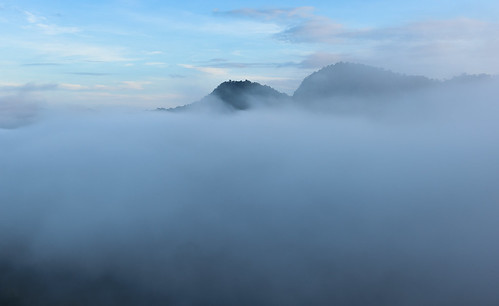 morning fog landscape geotagged rainforest day malaysia borneo sabah danumvalley