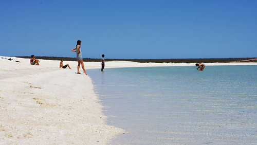 The Beautiful Shell Beach, Western Australia