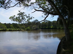 Dawson River at Cundletown, NSW