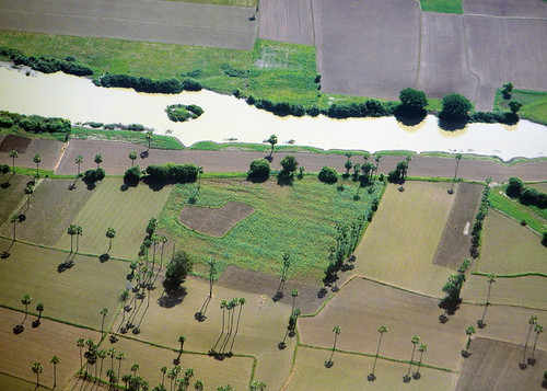 the Patchwork Fields Seen while Flying over Inle Lake
