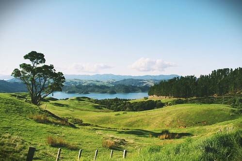 newzealand green scenery breath taking