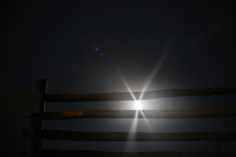 Moonlight Stories, Tulum
