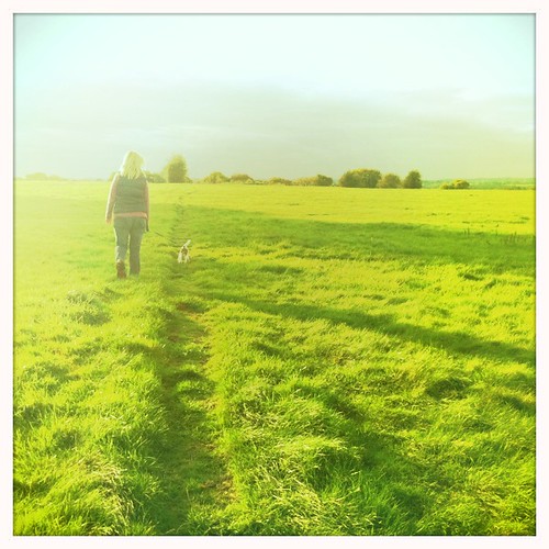 green field dogwalking