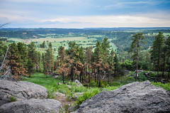 View from Devils Tower
