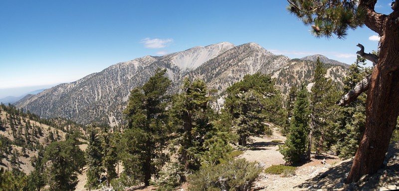 View northwest to Mt. Baldy and Mount Harwood from the road to Thunder Mountain