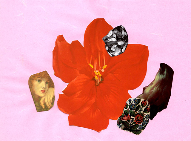 collage featuring bright red flower