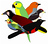 to COLOMBIA Birding (Diego Calderon)'s photostream page