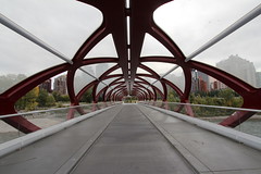 The peace bridge Half way across now do i go this way or that way?