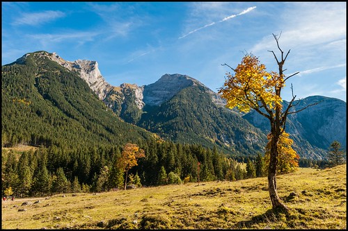 germany bayern deutschland bavaria austria tirol österreich nikon herbst bäume baum eng ahorn ahornboden d700 hinterriss