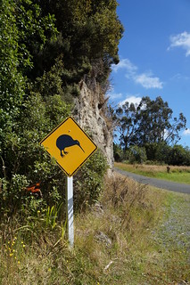 Kiwi signpost