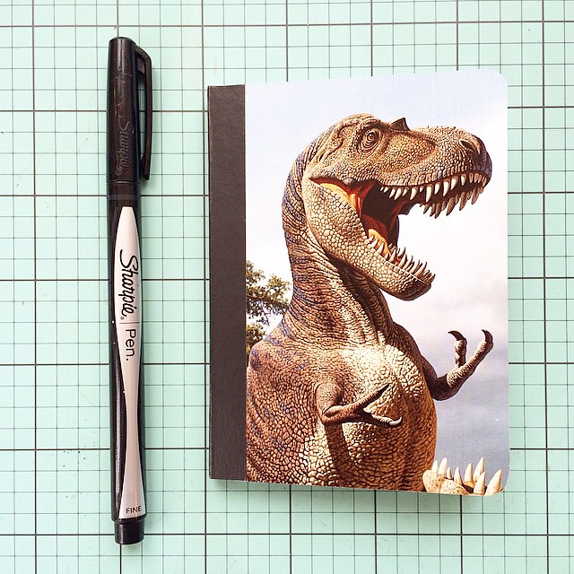 T-Rex notebook