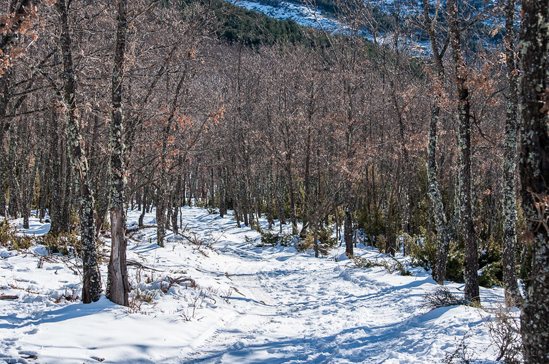 Ruta a la Cascada del Purgatorio con nieve