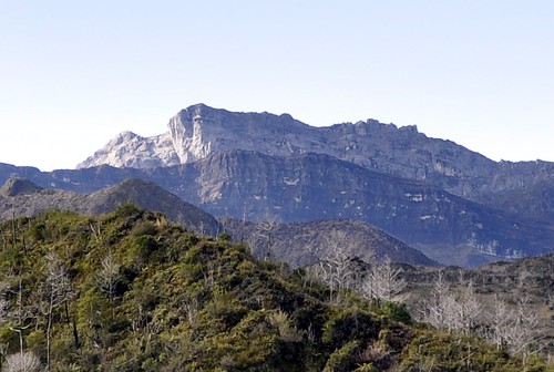 new mountains guinea peak papua range wilhelmina puncak trikora sudirman maoke