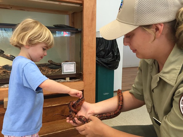 A park ranger showing a little visitor some of the critters from the Nature Center at Pocahontas State Park, Va