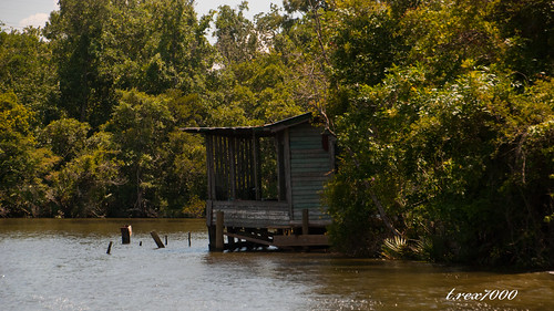 fishing camp cabin swamp bayou shack trex7000 alabama river