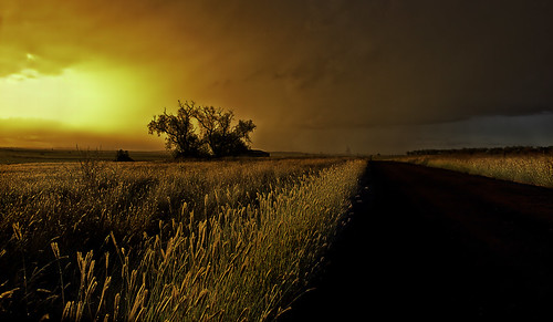 road sunset sun storm tree grass day australia queensland darlingdowns