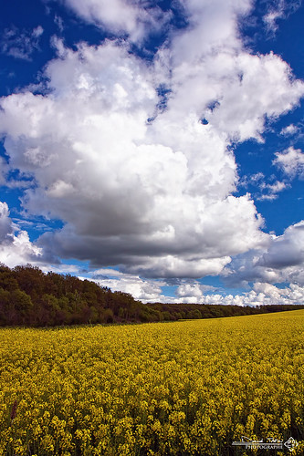 jaune canon de landscapes centre vert bleu filter nuages printemps champ cpl colza 1755mm eureetloir 450d cultived rueillagadeliere