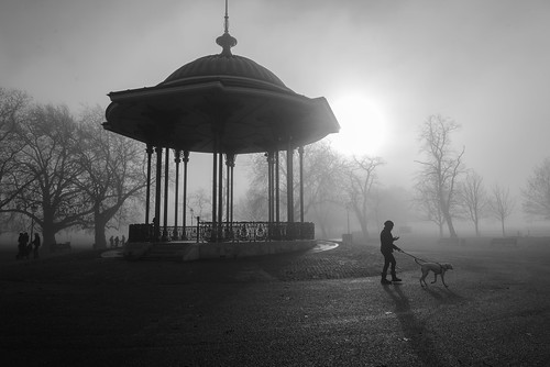park uk morning england dog mist man london fog nebel unitedkingdom bandstand clapham claphamcommon lambeth