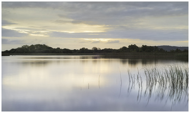 Daybreak on Lough Sheelin, Co Westmeath