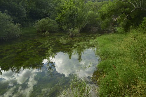 france verde green rio river nikon vert rivière pro grün d800 herault ruisseau michelseguret bueèges