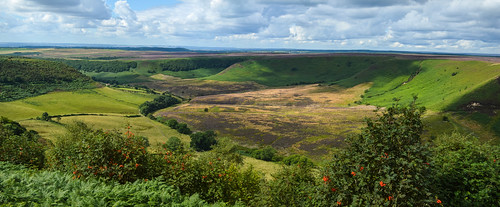 trees panorama fern grass clouds berries hole heather yorkshire north valley scenary moors horcum