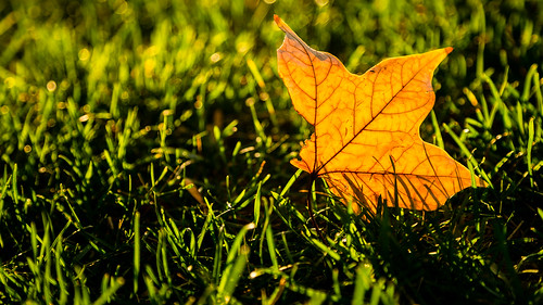 longexposure morning autumn usa sunrise washingtondc unitedstatesofamerica canon6d october2013urbanlandscapes