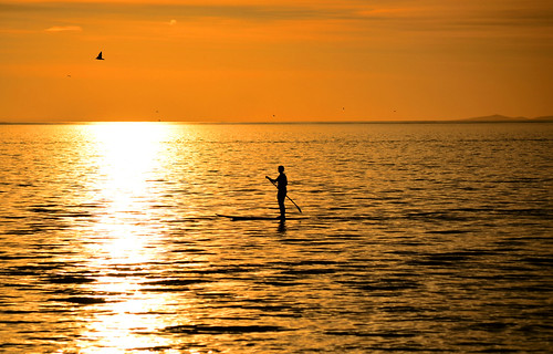 light sunset sea seagulls beach water silhouette evening bay coast nikon australia melbourne victoria shore vic paddling shimmer youyangs portphillipbay lateafternoonlight edithvale paddleboarding paddleboarder d5100 nikond5100 phunnyfotos