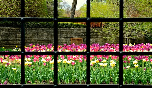 Garden window - Cantigny Wheaton IL