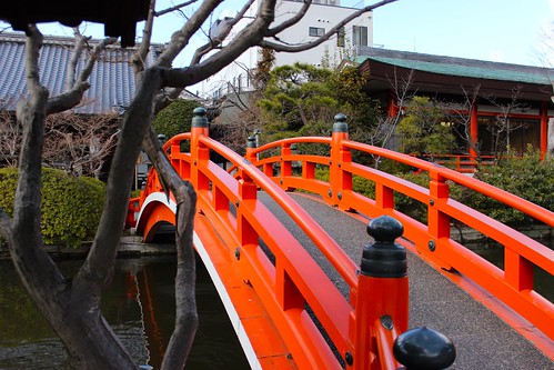 京都：神泉苑（2015.2.7）