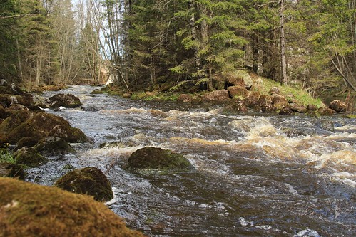 water forest river landscape estonia taevaskoja ahja blatics