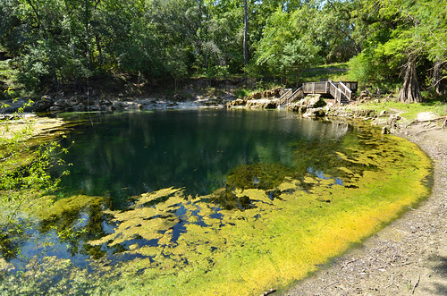 statepark water spring florida springs freshwater suwanneeriver troyspring
