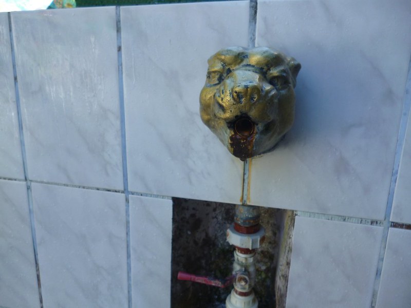 Tiger head vomits hot mineral water