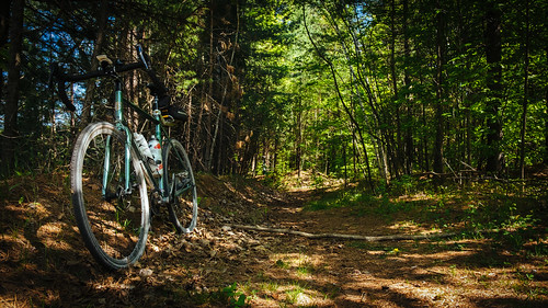 bike bicycle forest woods sundappled fujiastia100f vsco day144366 lensblr photographersontumblr xf1855mmf284rlmois vscofilm04 fujifilmxt1 ©2016ericdelorme|emrold 366the2016edition 3662016 konarove 23may16
